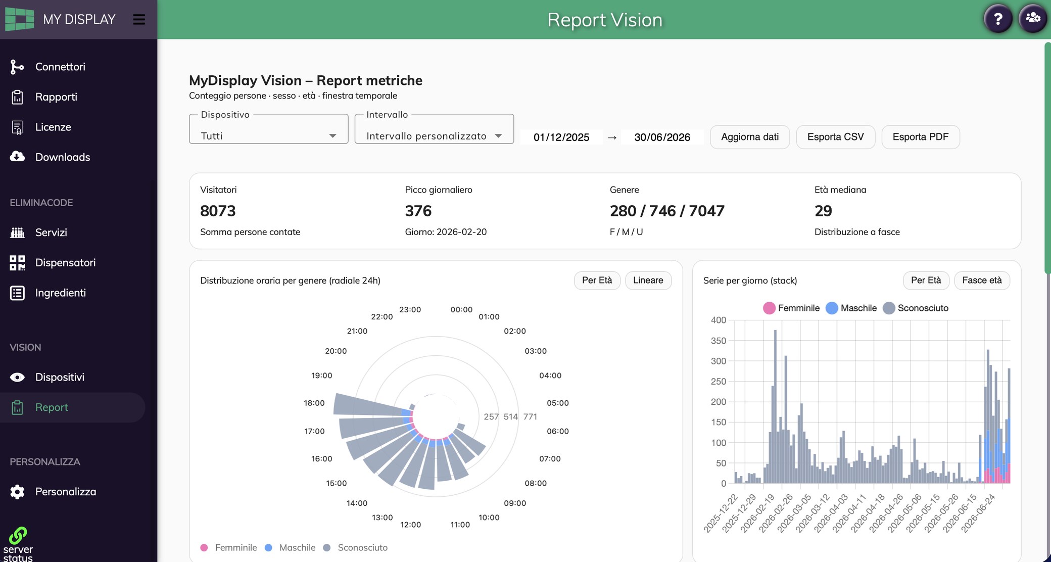 Vision report: summary indicators, hourly distribution by gender and the daily series.